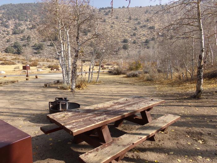 Picnic table, food storage, fire pit, and camping space at site #10, Four Jeffery Campground.