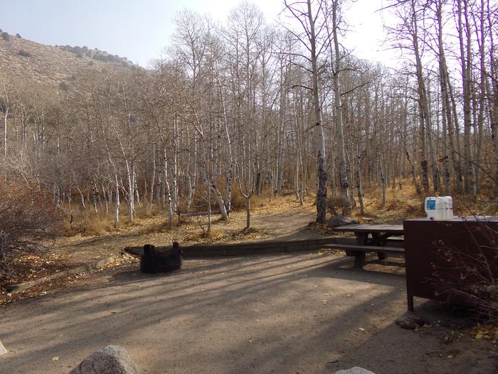 Four Jeffery Campground site #14 featuring picnic table, food storage, and fire pit.