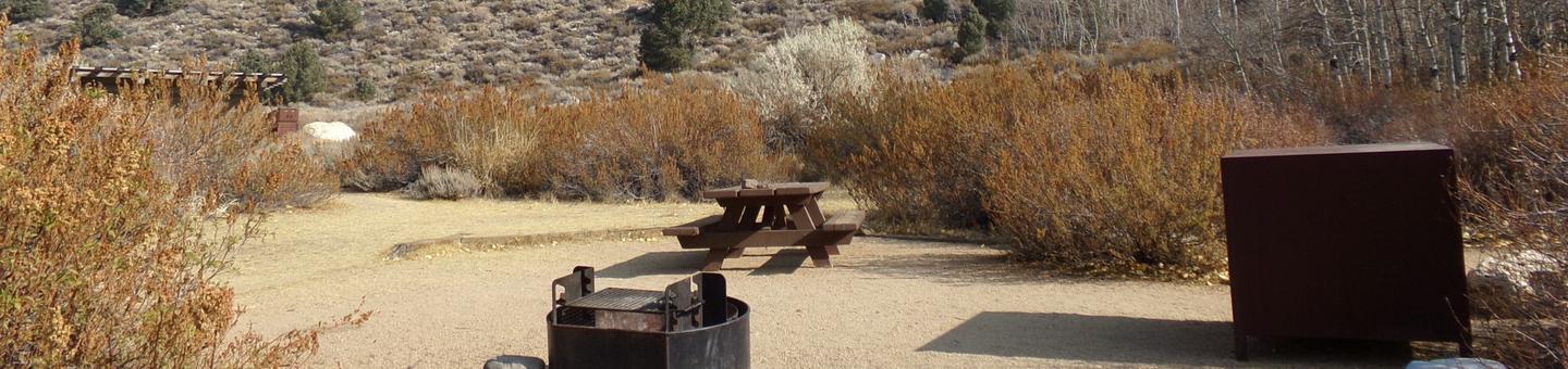 Four Jeffery Campground site #15 featuring picnic table, food storage, and fire pit.