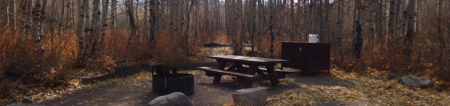 Four Jeffery Campground site #16 featuring picnic table, food storage, and fire pit.
