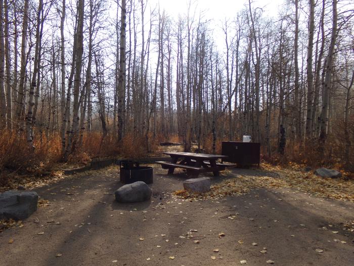 Four Jeffery Campground site #16 featuring picnic table, food storage, and fire pit among the trees.