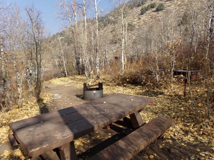 Four Jeffery Campground site #17 featuring picnic table, food storage, and fire pit.