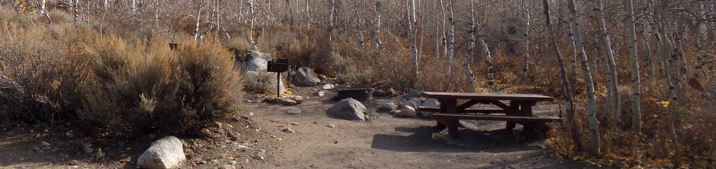 Four Jeffery Campground site #18 featuring picnic table, food storage, and fire pit.