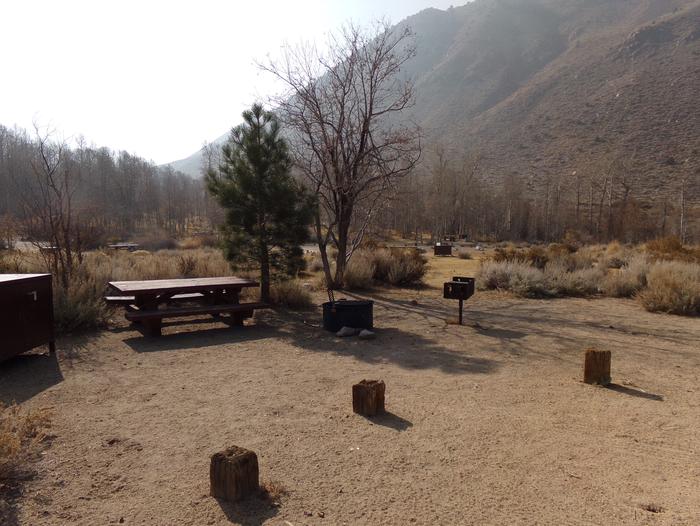 Four Jeffery Campground site #24 featuring picnic table, food storage, and fire pit.
