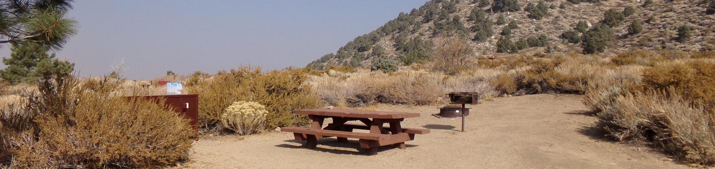 Four Jeffery Campground site #27 featuring picnic table, food storage, and fire pit.