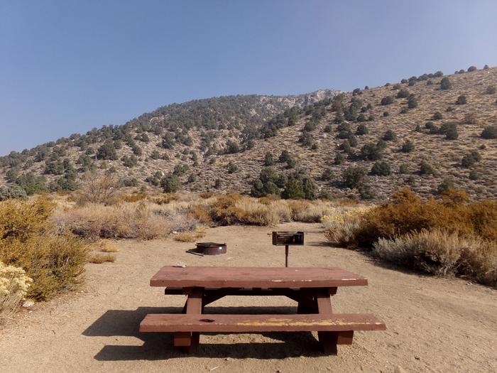 Picnic area and camping space at site #27, Four Jeffery Campground. 