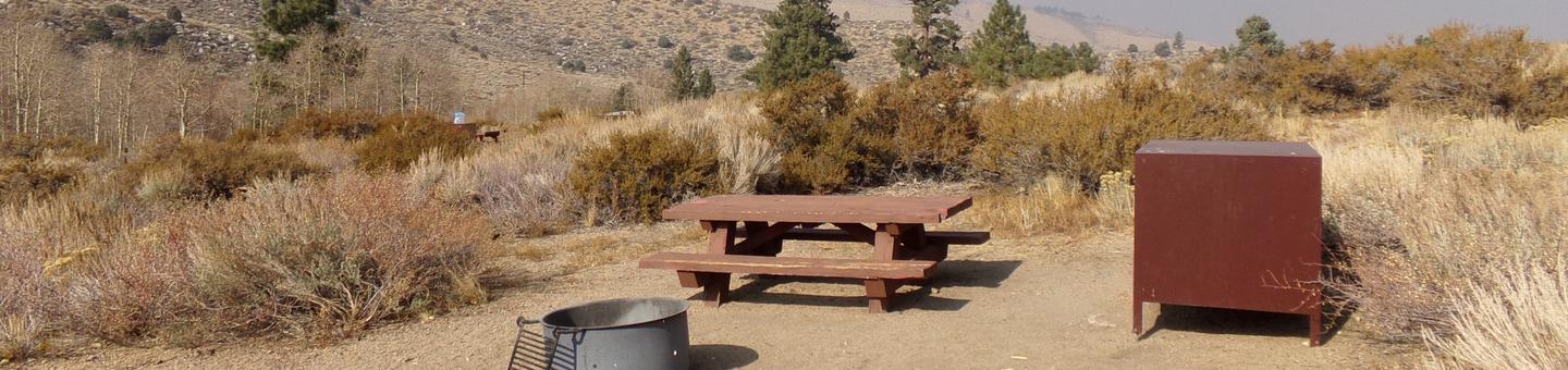 Four Jeffery Campground site #28 featuring picnic table, food storage, and fire pit.