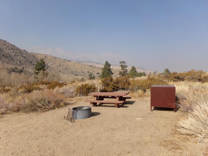 Four Jeffery Campground site #28 featuring picnic table, food storage, and fire pit.