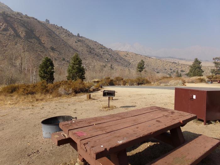 Four Jeffery Campground site #29 featuring picnic table, food storage, and fire pit.