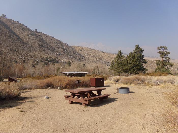 Four Jeffery Campground site #31 featuring picnic table, food storage, and fire pit.