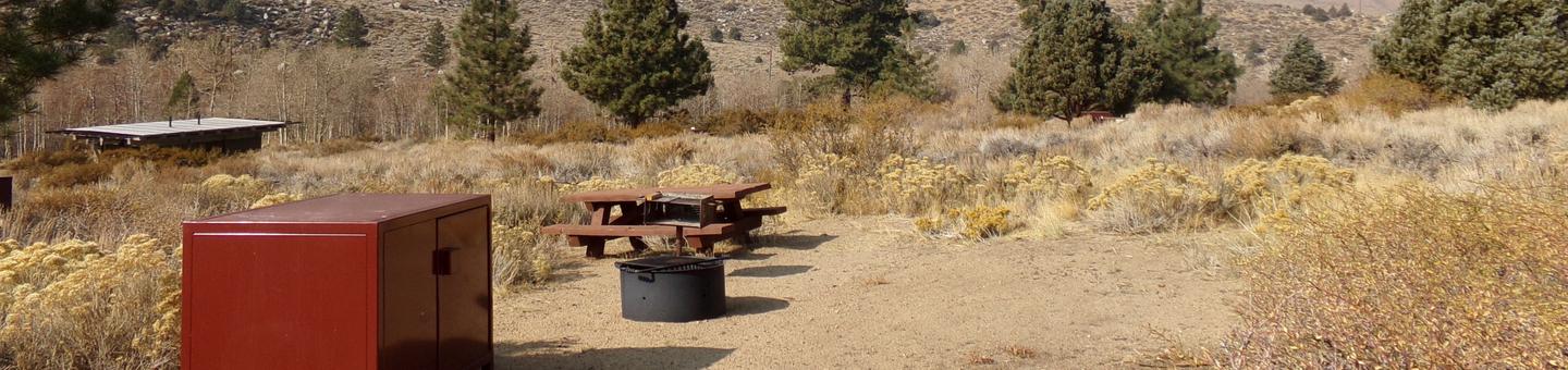 Four Jeffery Campground site #32 featuring picnic table, food storage, and fire pit.