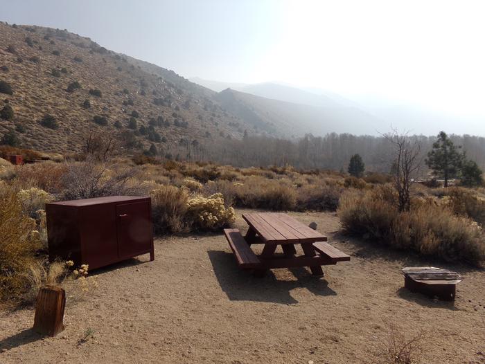 Four Jeffery Campground site #35 featuring picnic table, food storage, and fire pit.