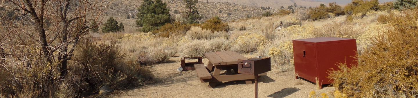 Four Jeffery Campground site #37 featuring picnic table, food storage, and fire pit.