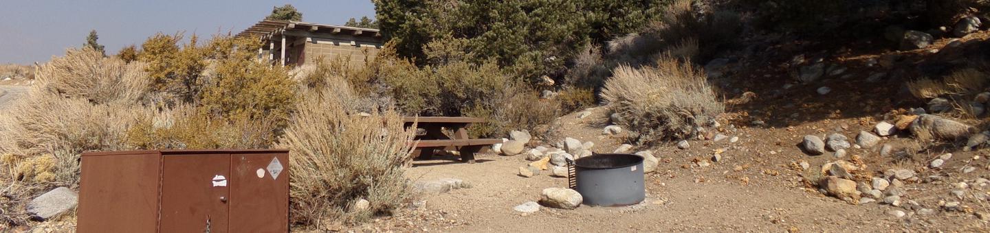 Four Jeffery Campground site #42 featuring picnic table, food storage, and fire pit.