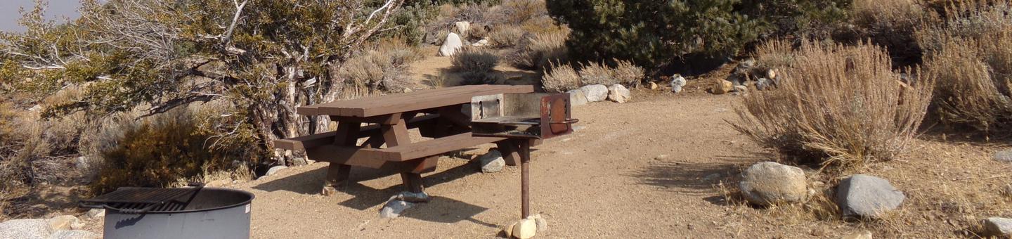 Four Jeffery Campground site #46 featuring picnic table, food storage, and fire pit.