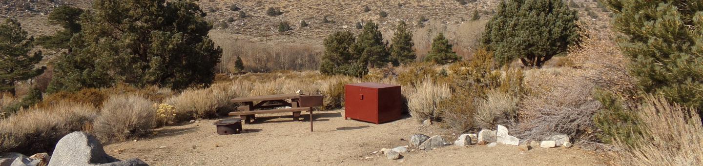 Four Jeffery Campground site #51 featuring picnic table, food storage, and fire pit.