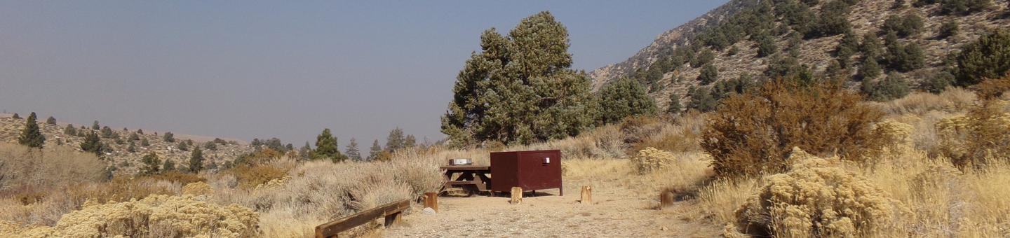 Four Jeffery Campground site #54 featuring picnic table, food storage, and fire pit.