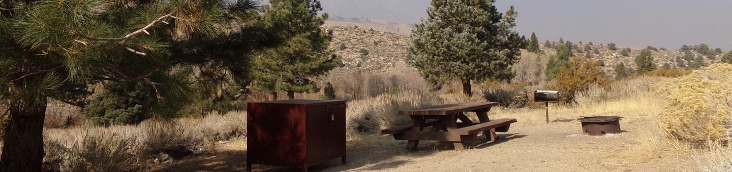 Four Jeffery Campground site #55 featuring picnic table, food storage, and fire pit.