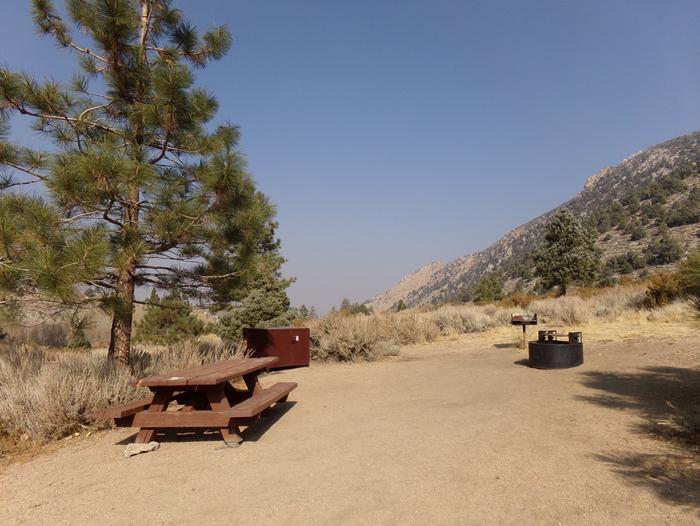 Four Jeffery Campground site #58 featuring picnic table, food storage, and fire pit.