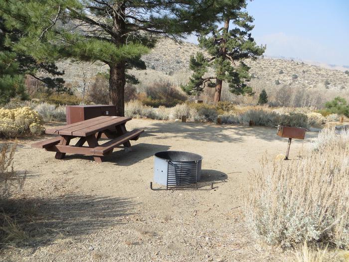 Four Jeffery Campground site #59 featuring picnic table, food storage, and fire pit.