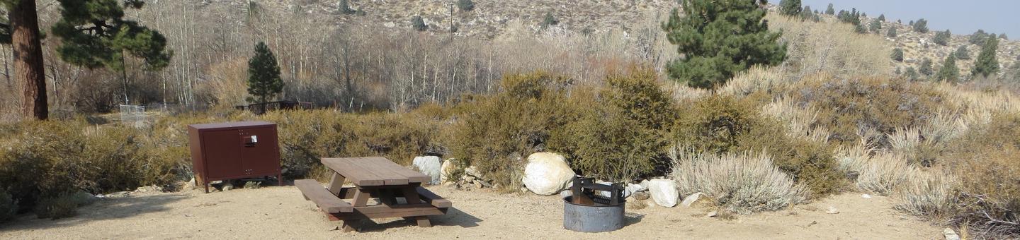 Four Jeffery Campground site #60 featuring picnic table, food storage, and fire pit.