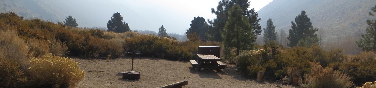 Four Jeffery Campground site #61 featuring picnic table, food storage, and fire pit.