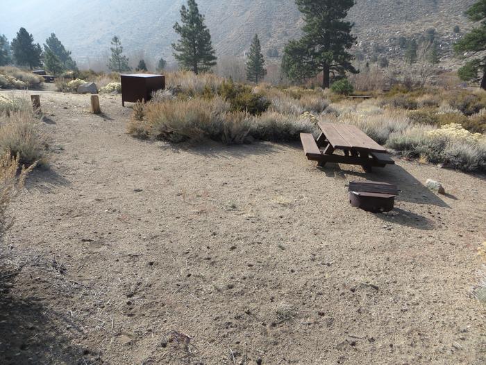 Four Jeffery Campground site #62 featuring picnic table, food storage, and fire pit.