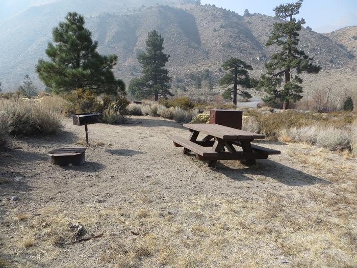 Four Jeffery Campground site #63 featuring picnic table, food storage, and fire pit.