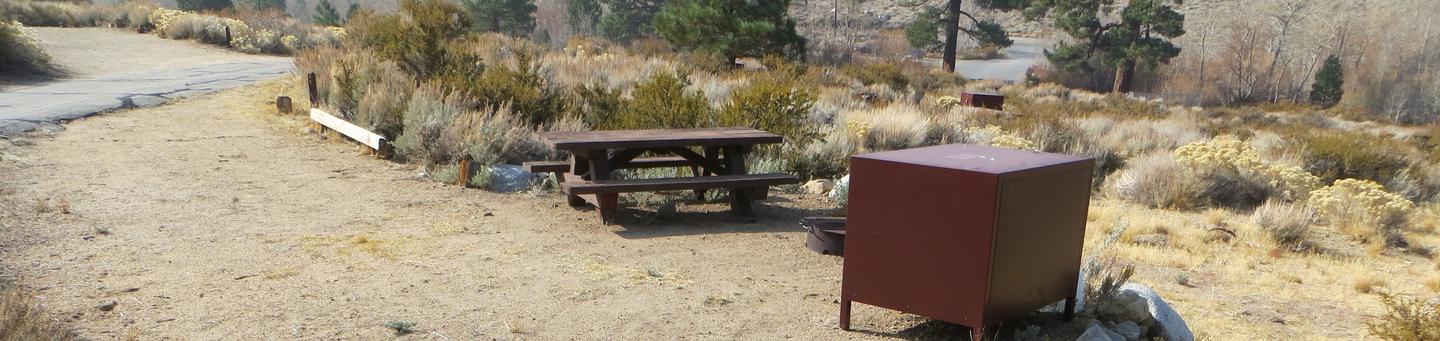 Four Jeffery Campground site #65 featuring picnic table, food storage, and fire pit.