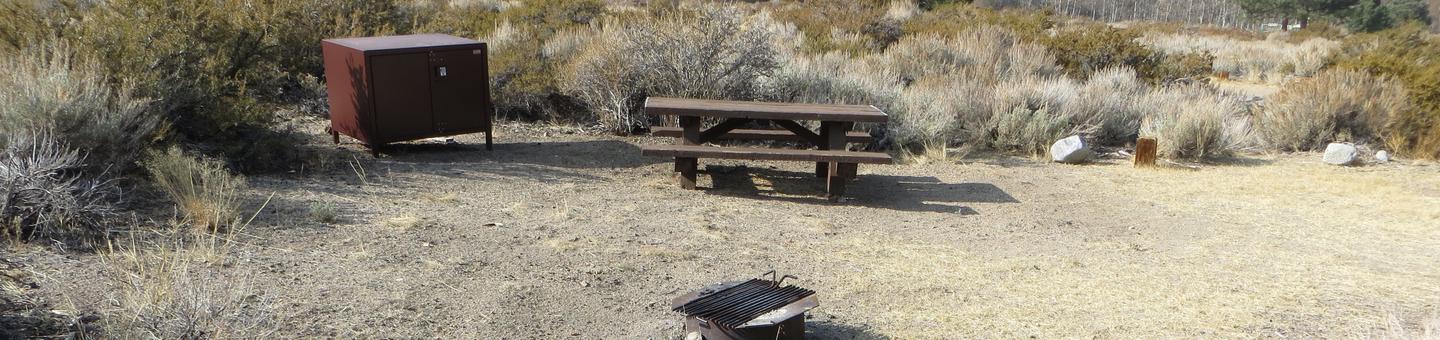Four Jeffery Campground site #66 featuring picnic table, food storage, and fire pit.