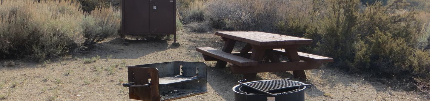 Four Jeffery Campground site #69 featuring picnic table, food storage, and fire pit.