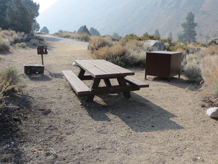 Four Jeffery Campground site #70 featuring picnic table, food storage, and fire pit.