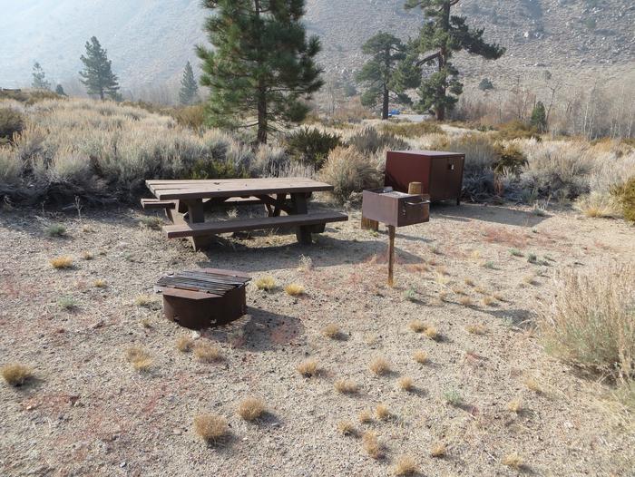 Four Jeffery Campground site #74 featuring picnic table, food storage, and fire pit.