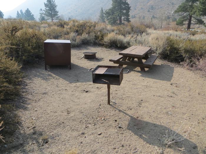 Four Jeffery Campground site #77 featuring picnic table, food storage, and fire pit.