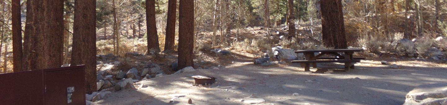 Upper Sage Flat Campground wooded site #04 featuring picnic table, food storage, and fire pit.