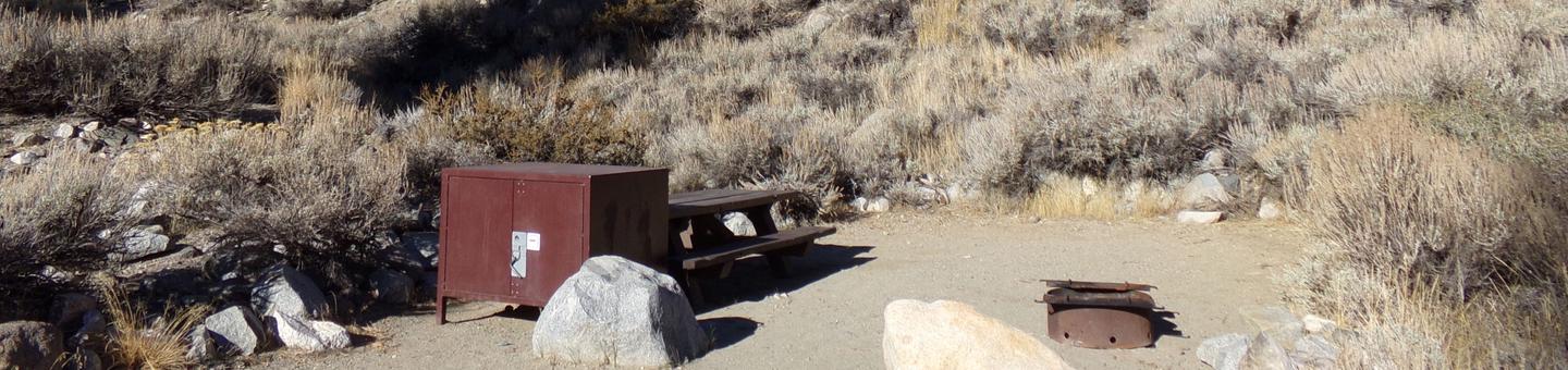 Upper Sage Flat Campground site #05 featuring picnic table, food storage, and fire pit with mountain views.