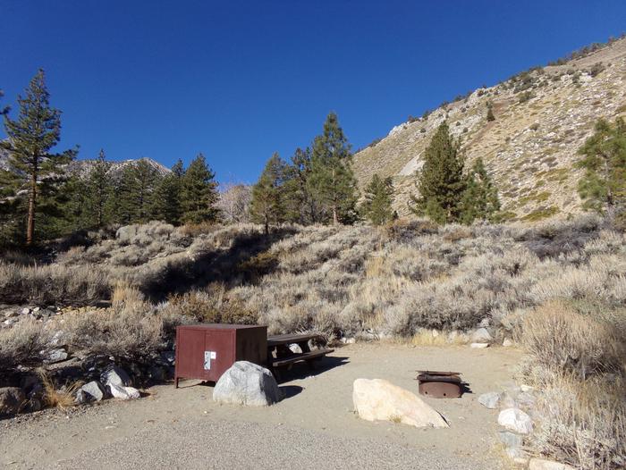 Upper Sage Flat Campground site #05 featuring picnic table, food storage, and fire pit with mountain views.