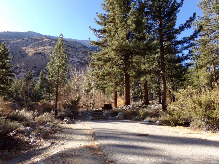 Parking space and entrance to site #08, Upper Sage Flat Campground. 