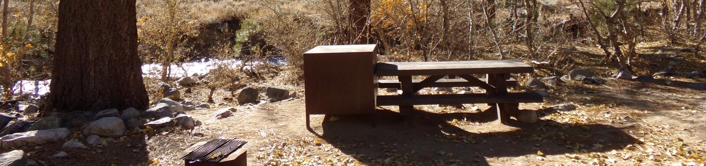 Upper Sage Flat Campground creekside site #17 featuring picnic table, food storage, and fire pit.