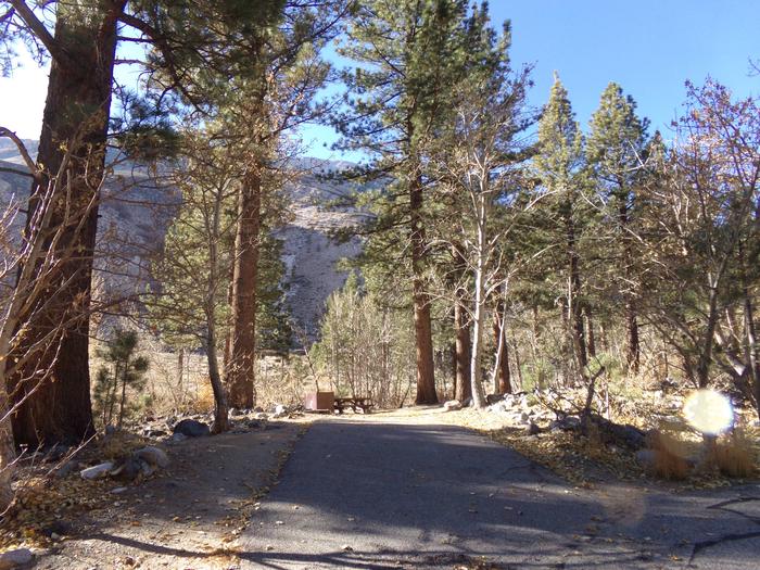 Parking space and entrance to site #17, Upper Sage Flat Campground. 
