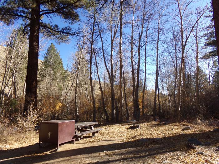 Upper Sage Flat Campground site #19 featuring picnic table, food storage, and fire pit.