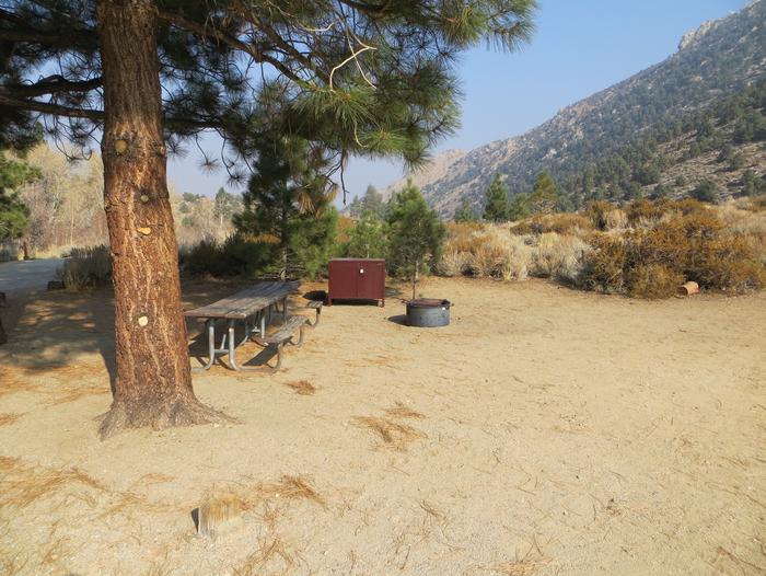 Four Jeffery Campground site #80 featuring picnic table, food storage, and fire pit.