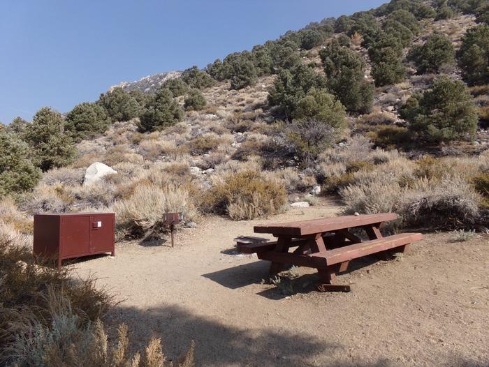 Four Jeffery Campground site #89 featuring picnic table, food storage, and fire pit.