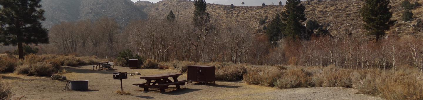 Four Jeffery Campground site #92 featuring picnic table, food storage, and fire pit.