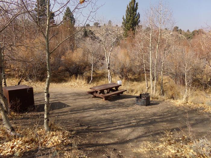 Four Jeffery Campground site #95 featuring picnic table, food storage, and fire pit.