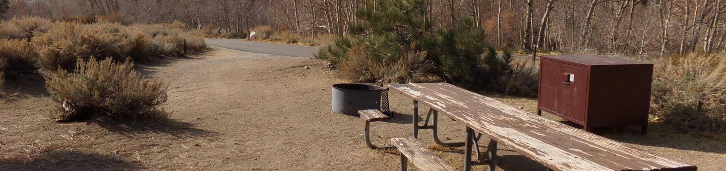 Four Jeffery Campground site #96 featuring picnic table, food storage, and fire pit.