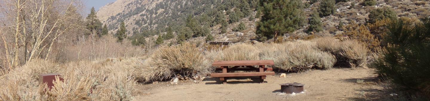 Four Jeffery Campground site #98 featuring picnic table, food storage, and fire pit.