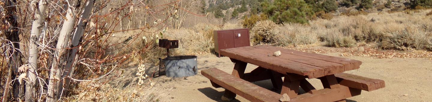 Four Jeffery Campground site #99 featuring picnic table, food storage, and fire pit.