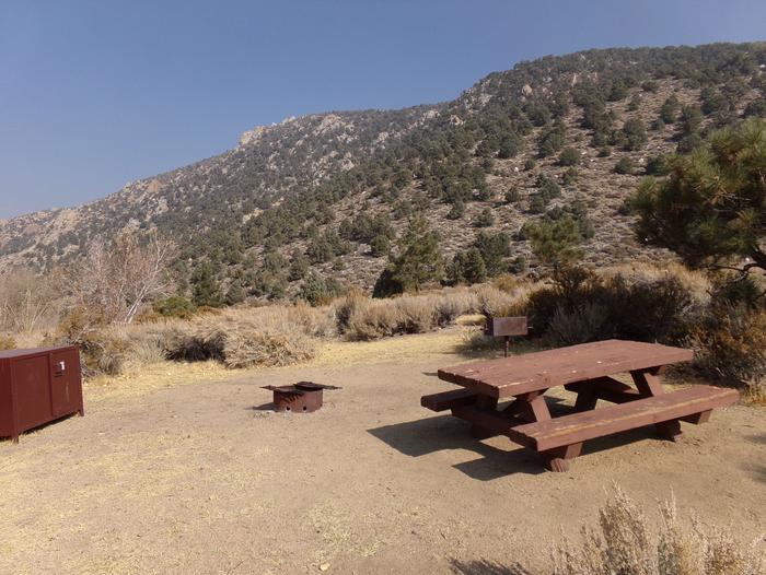 Four Jeffery Campground site #102 featuring picnic table, food storage, and fire pit.