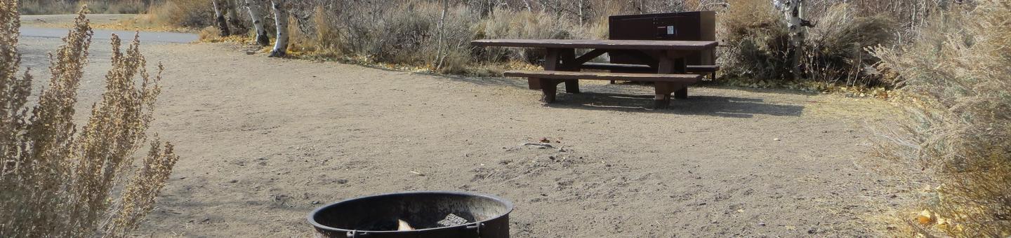 Four Jeffery Campground site #104 featuring picnic table, food storage, and fire pit.
